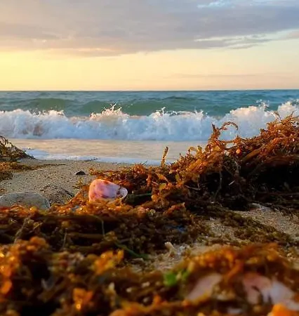 Appartement With A View, Avec Vue Panoramique Sur La